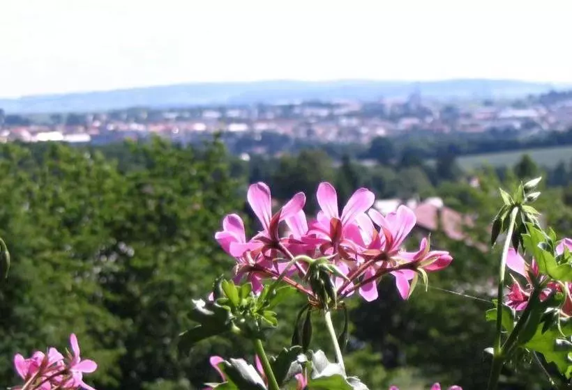 Majatalo Penzion Kalina