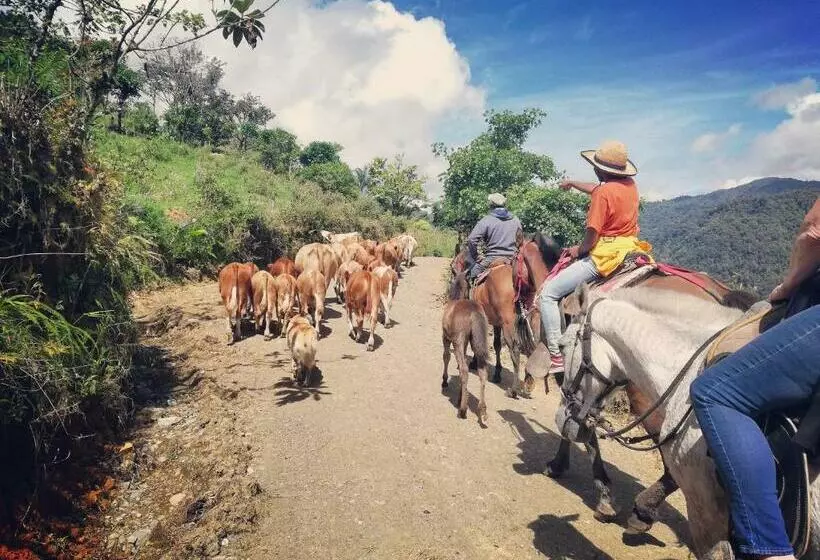 Hotelli Finca Queveri