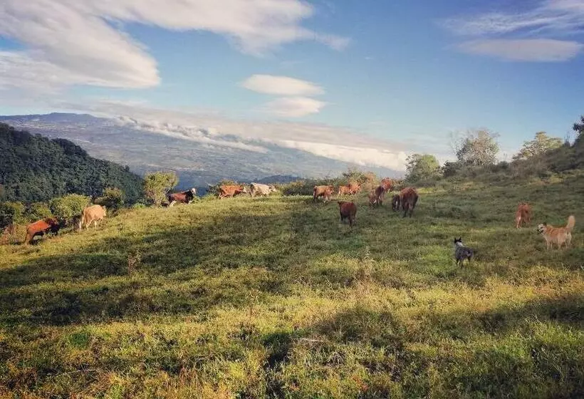 Hotelli Finca Queveri