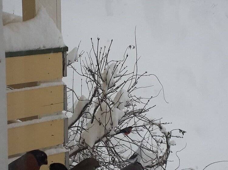 Hotel Lunheim In Geiranger