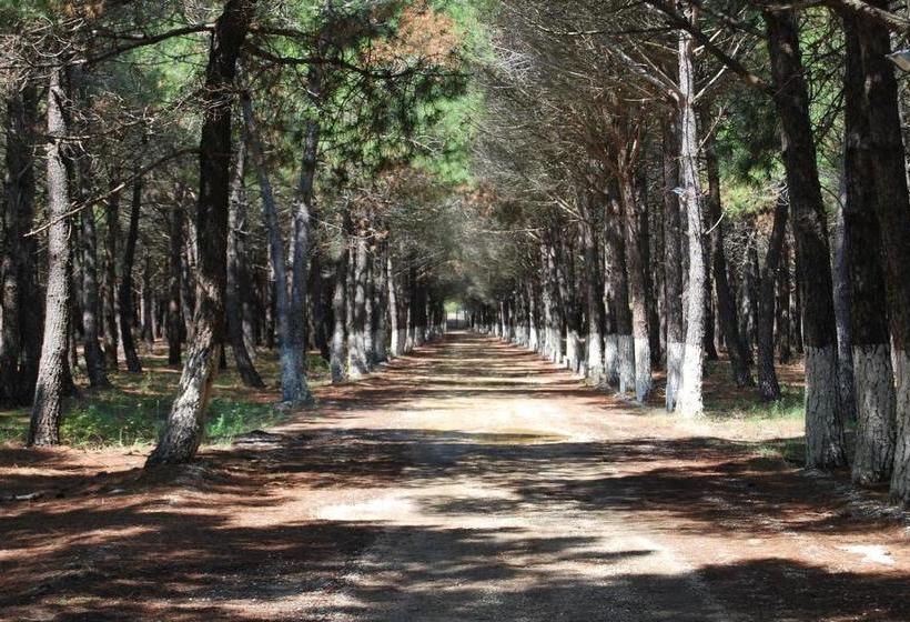 Pensão H And H Guesthouse