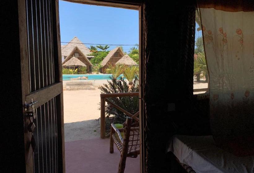 بنسيون New Jambo Bungalows