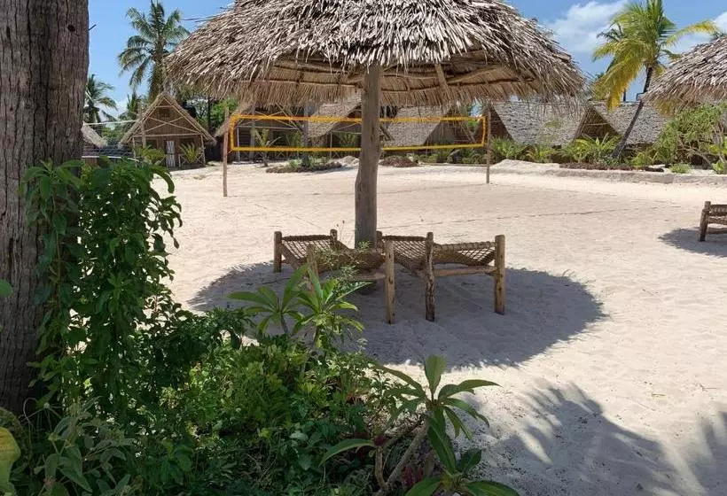 ペンション New Jambo Bungalows