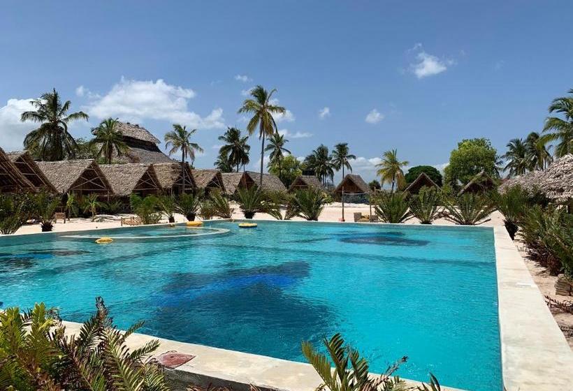 بنسيون New Jambo Bungalows