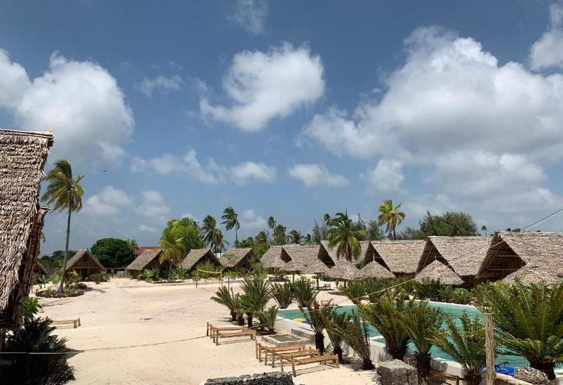 بنسيون New Jambo Bungalows