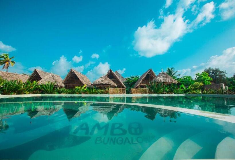 بنسيون New Jambo Bungalows