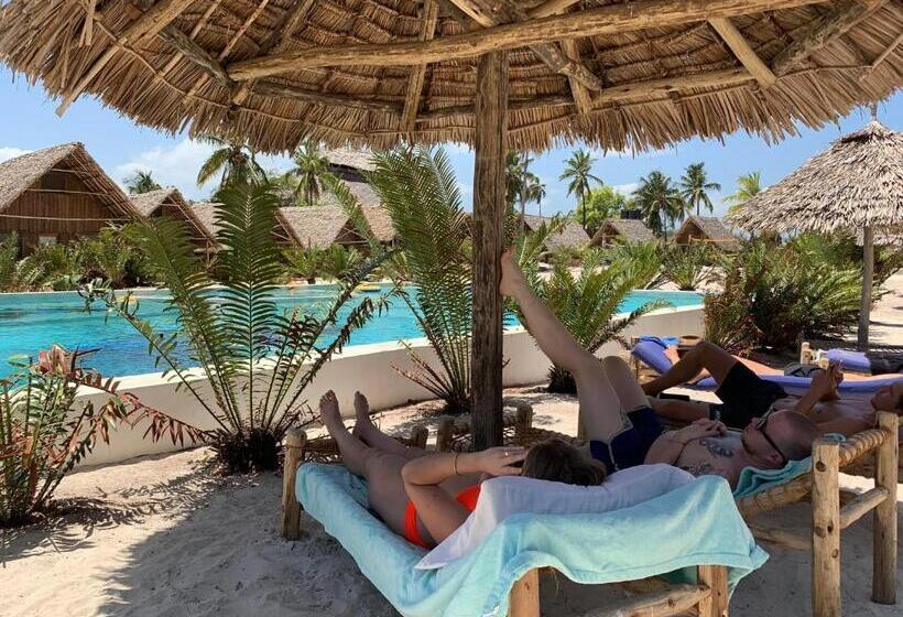 بنسيون New Jambo Bungalows