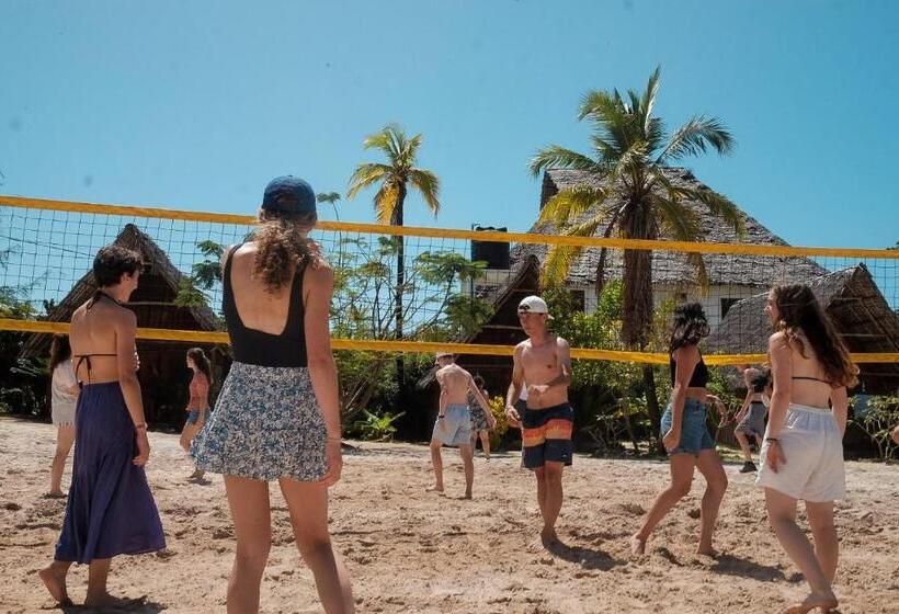 بنسيون New Jambo Bungalows