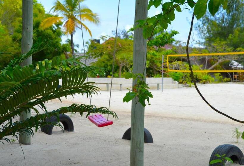 بنسيون New Jambo Bungalows