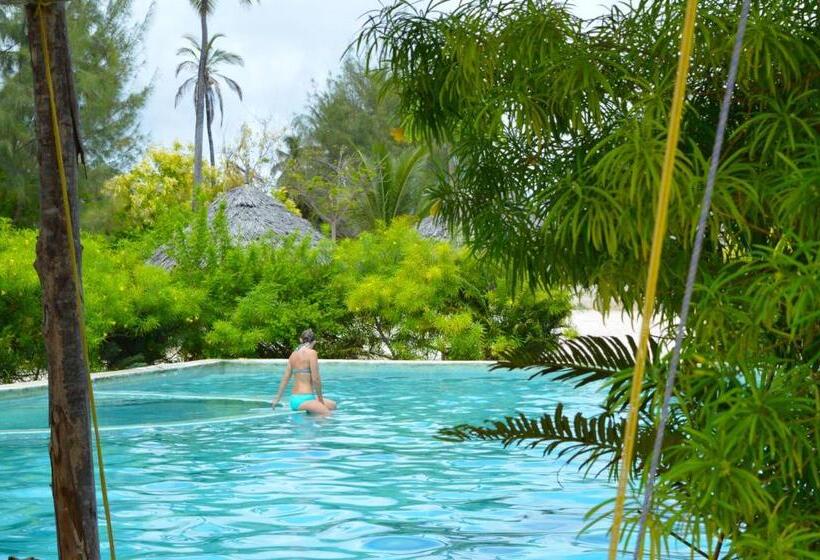 بنسيون New Jambo Bungalows