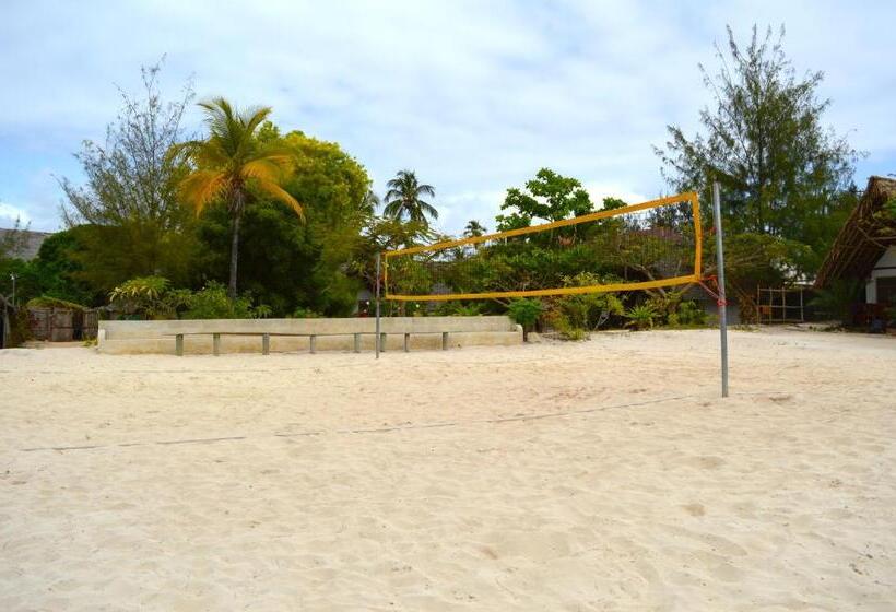 بنسيون New Jambo Bungalows