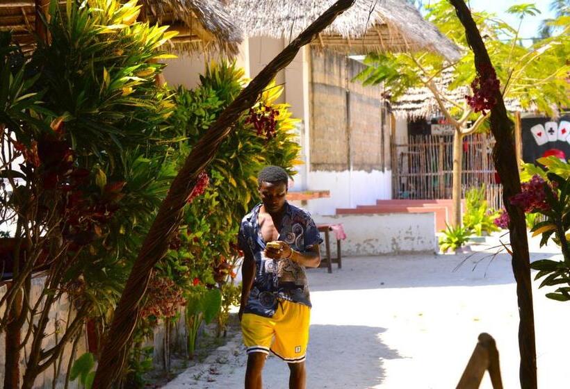 بنسيون New Jambo Bungalows