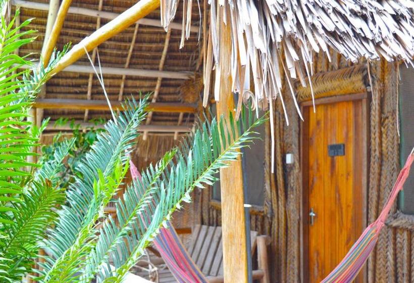 بنسيون New Jambo Bungalows