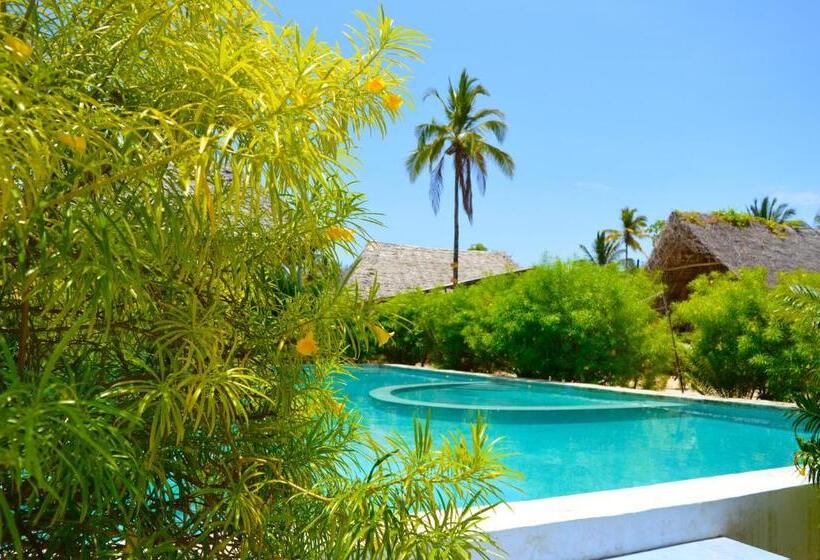 بنسيون New Jambo Bungalows