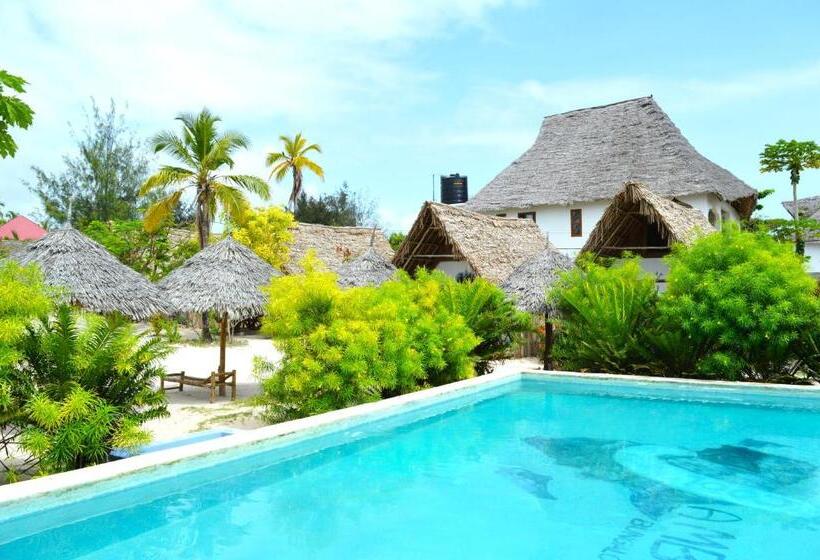 بنسيون New Jambo Bungalows