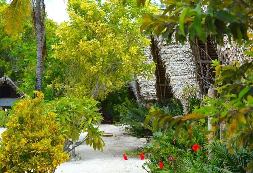 بنسيون New Jambo Bungalows