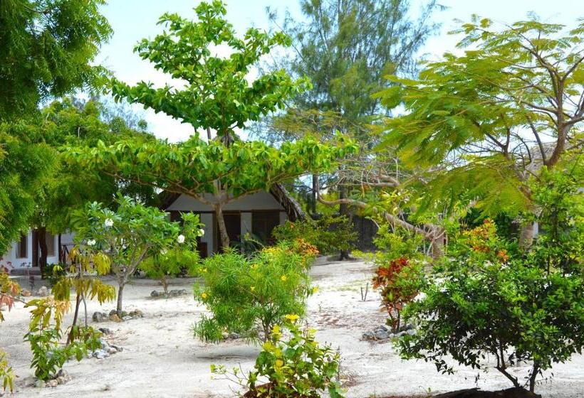 بنسيون New Jambo Bungalows