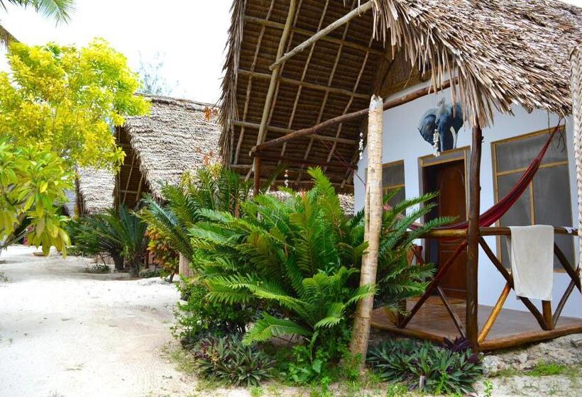 بنسيون New Jambo Bungalows