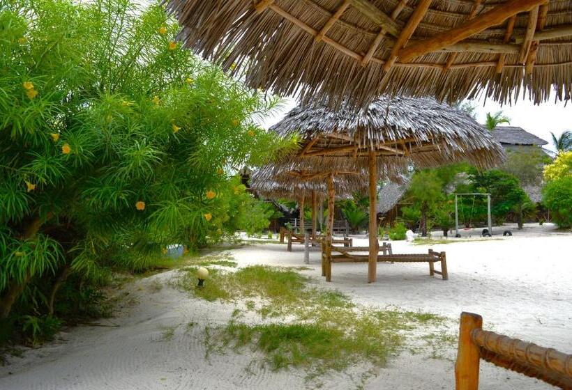 بنسيون New Jambo Bungalows