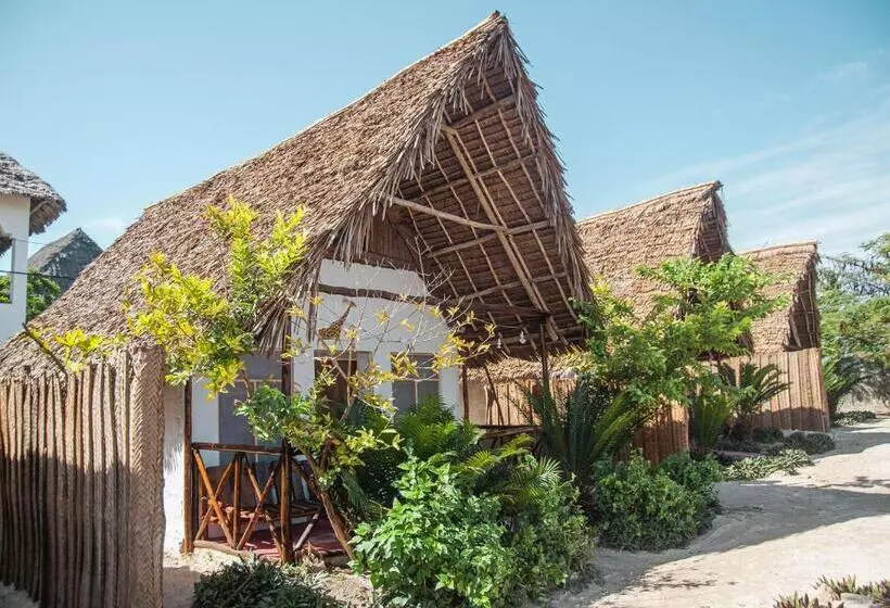 ペンション New Jambo Bungalows
