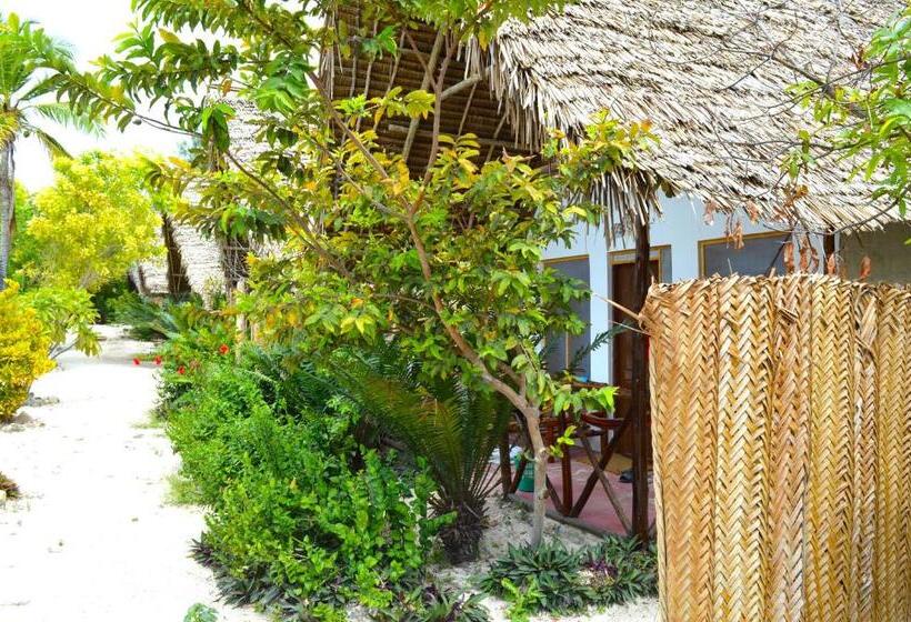 بنسيون New Jambo Bungalows