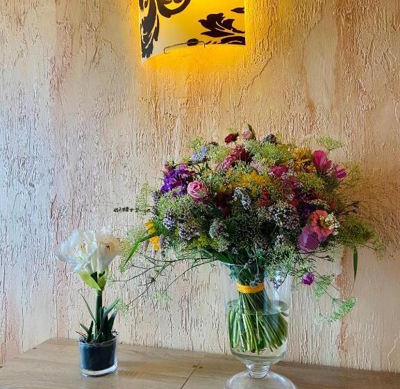 بنسيون ďumbier