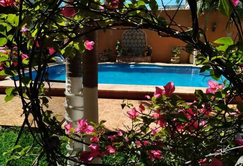 ユースホステル Maria's Nicte Ha