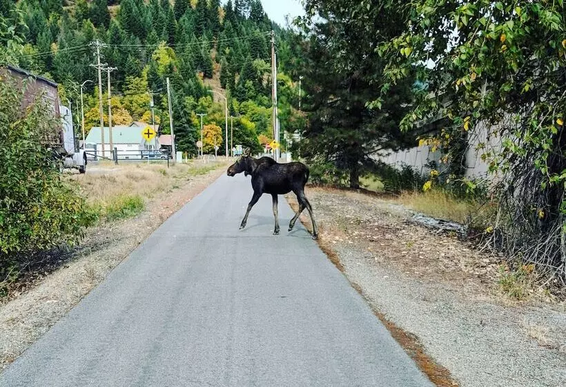 ユースホステル Ryan