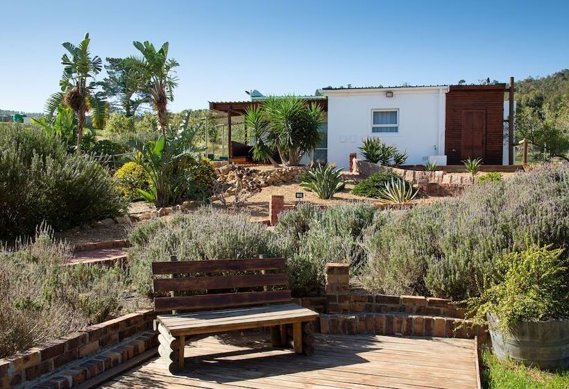 펜션 Capelands Wine Farm