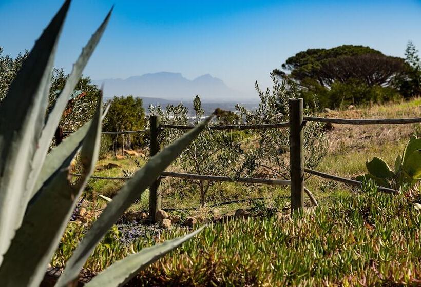 펜션 Capelands Wine Farm