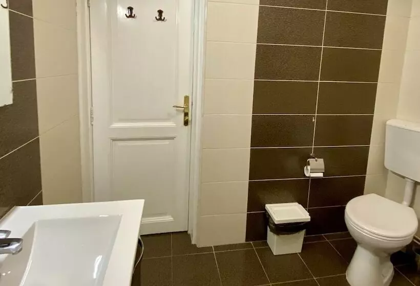 Pension Casa Balcescu