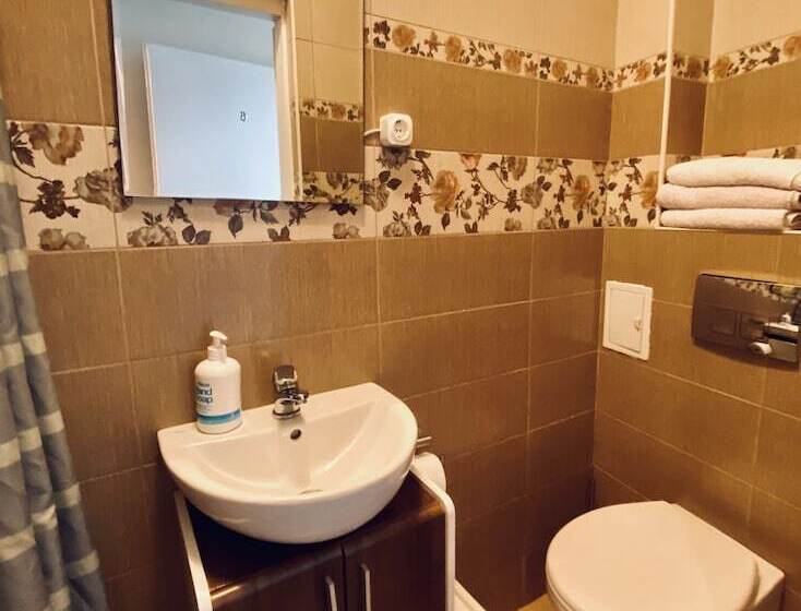 ペンション Casa Balcescu