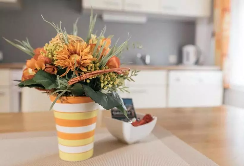 ペンション Privatzimmer Und Ferienwohnungen Gassner