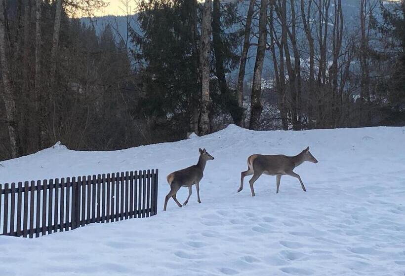 호스텔 Pension Gasthof Arriach