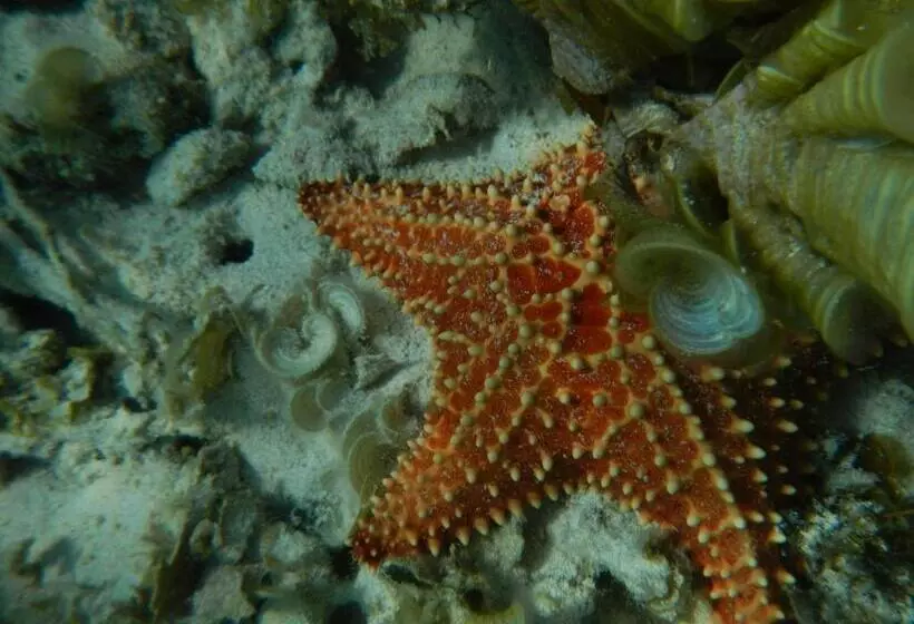 Orient Bay Beach Studio