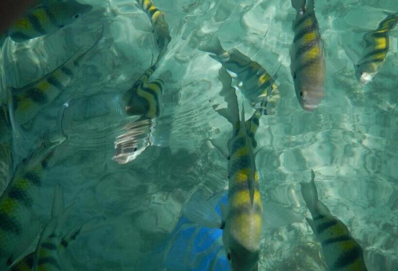 Orient Bay Beach Studio