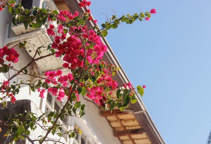 Pensionat Pousada Kico