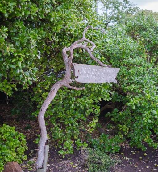 پانسیون Pebbles Beach Cottage