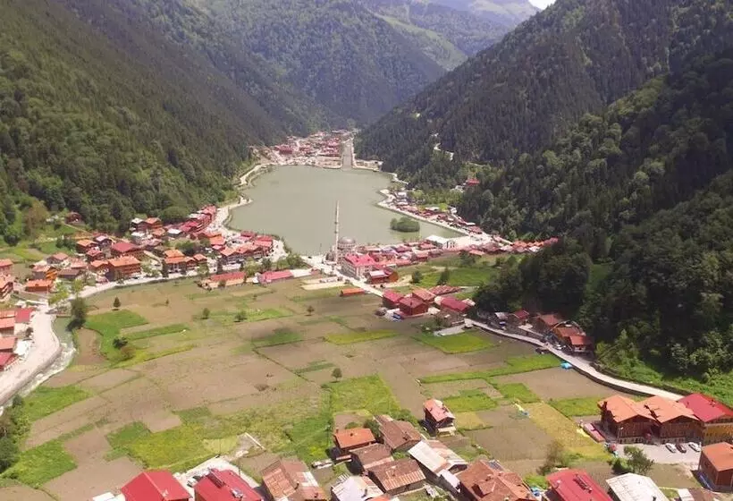 Zeren Pansiyon