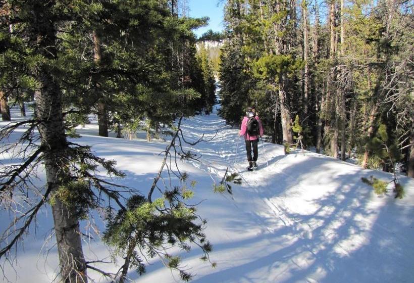 Общежитие Mountain View Historic