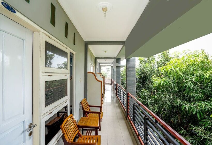 Отель Penginapan Sinar Harapan Near Gor Mastrip Probolinggo