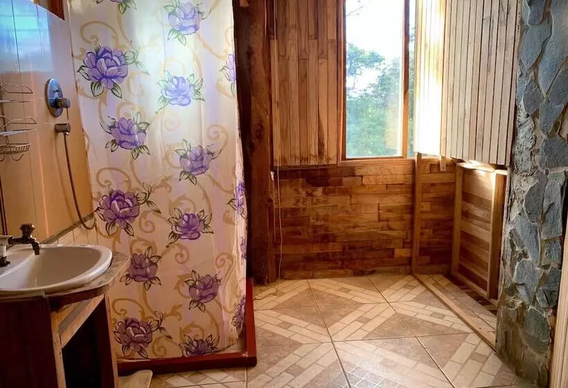 ペンション Casa Alquimia