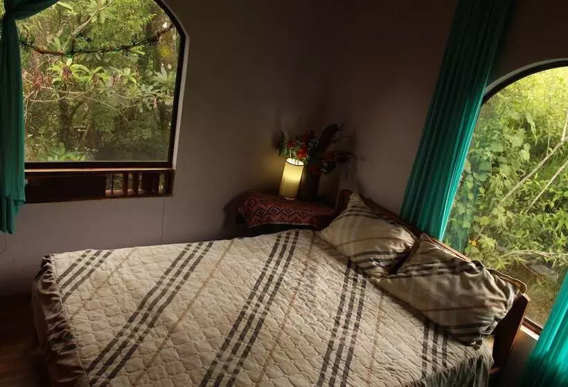 ペンション Casa Alquimia