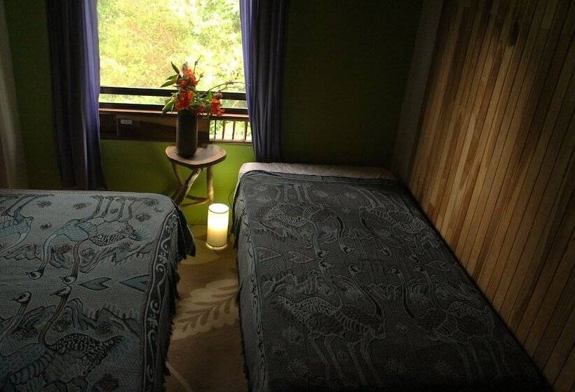 بنسيون Casa Alquimia