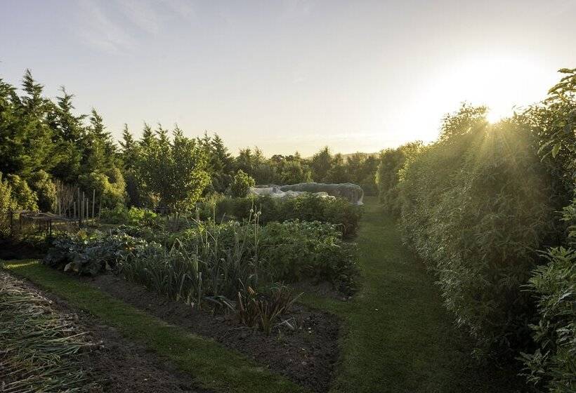 Пансион Ribbonwood Country House