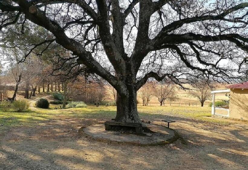 فندق Fairbairn Guest Farm