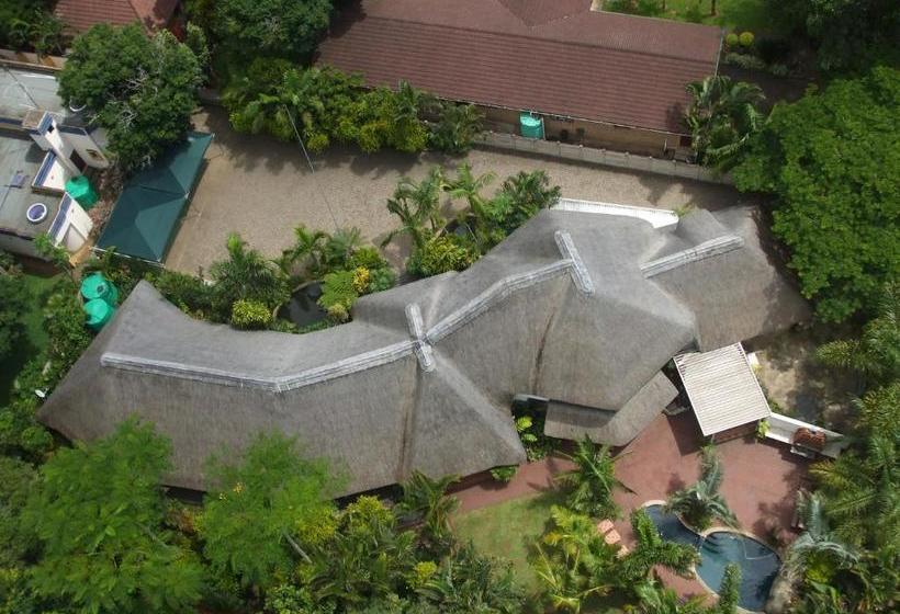 פנסיון African Ambience Guest House