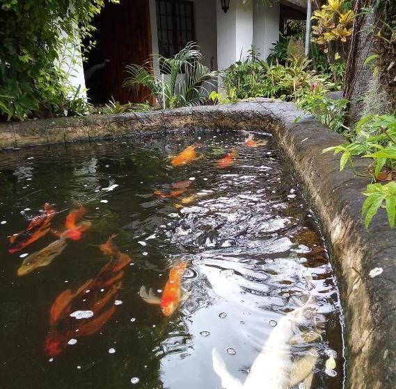 פנסיון African Ambience Guest House