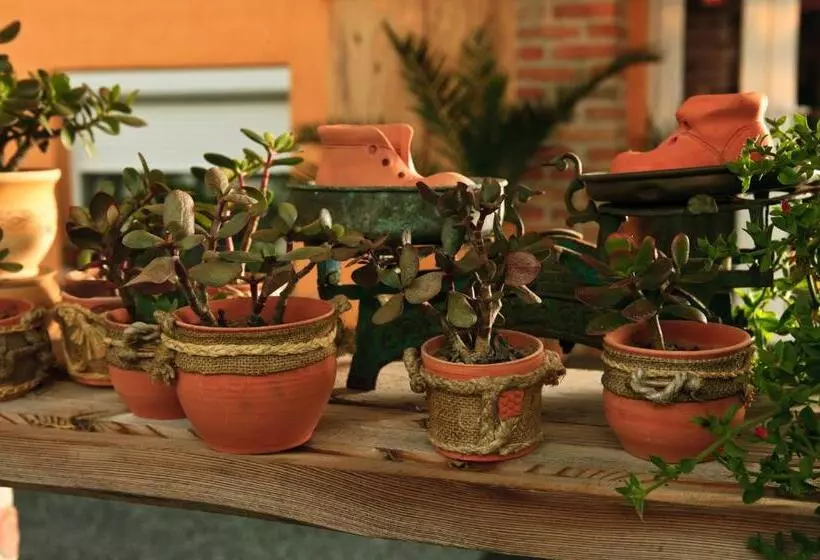 پانسیون La Villa Pergola