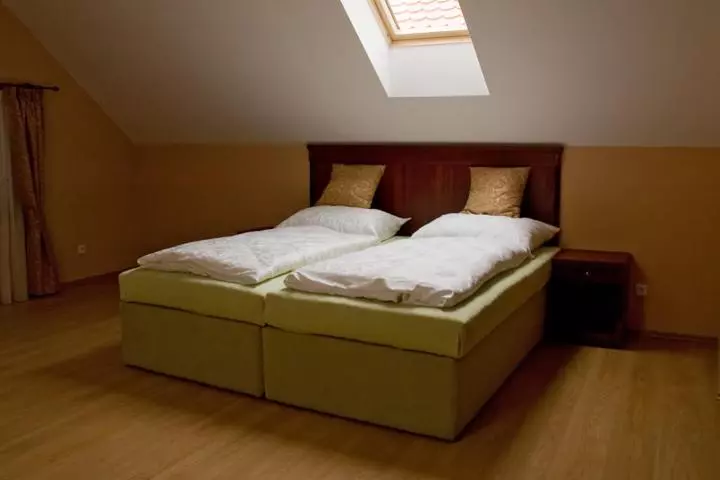 پانسیون Penzion Zlatý Vůl